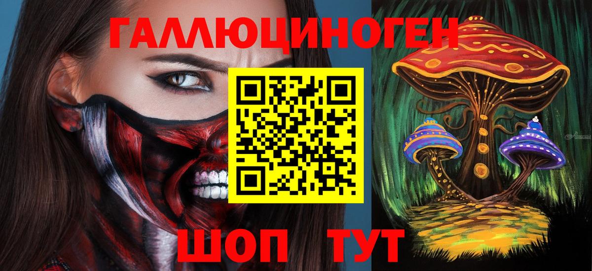 Псилоцибиновые грибы прущие грибы Лесной